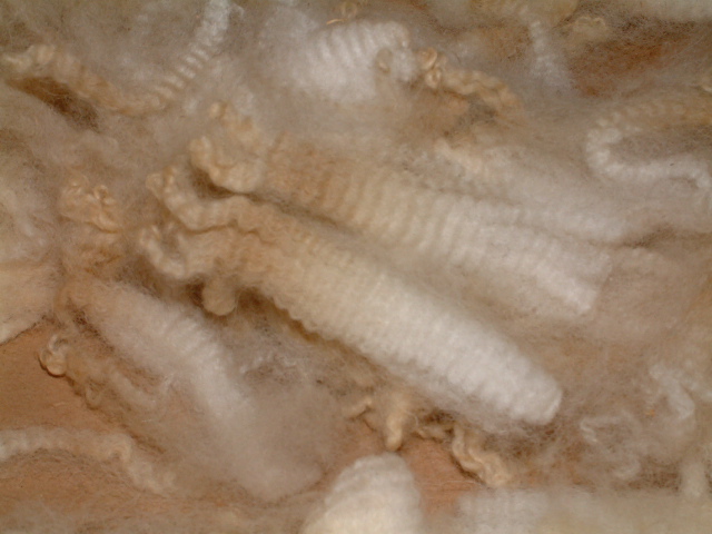 Alpaca Fleece