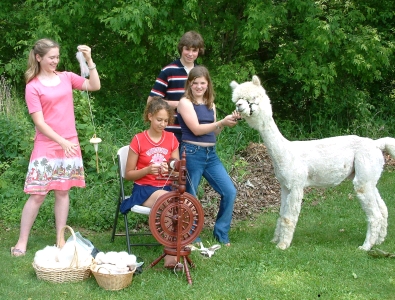 Alpaca Education